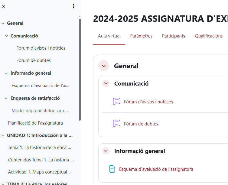Captura de pantalla Subseccions dins de temes