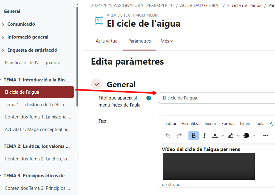 Captura de pantalla Personalització del nom que apareix al menú índex de l’aula, per a les etiquetes