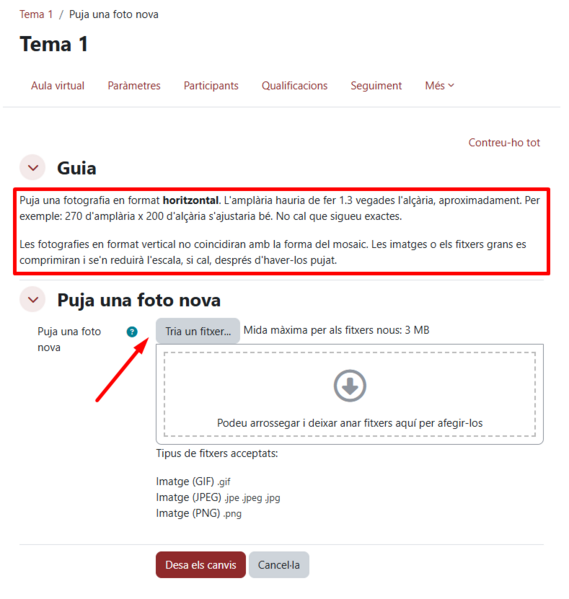 Fitxer:Personalitzar mosaic 04.png
