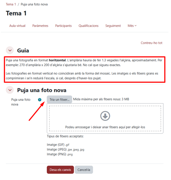 Personalitzar mosaic 04.png