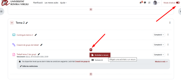 Afegir activitat qüestionari.png