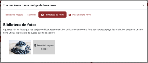 Personalitzar mosaic 03.png