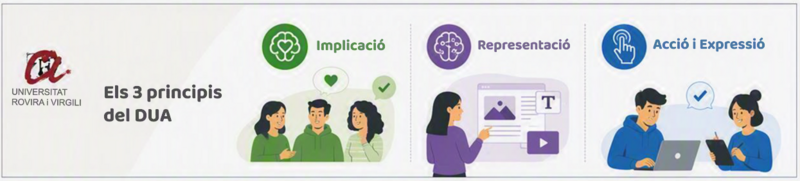 Fitxer:DUA CV URV 3Principis.png